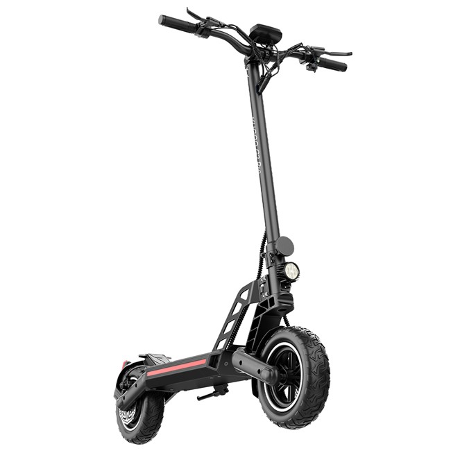 Iswed 1000W Electric Scooter Roti